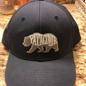 Patagonia Hat